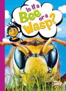 Is It a Bee or a Wasp?