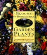 blooms of bressingham garden plants choosing the best hardy plants for your
