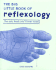 The Big Little Book of Reflexology: the Only Book Youll Ever Need