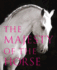 The Majesty of the Horse