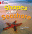 Shapes on the Seashore