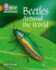 Beetles: Band 6/Orange (Collins Big Cat Phonics)