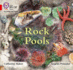 Collins Big Cat Phonics for Letters and Sounds-Rock Pools: Band 02b/Red B