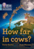 How far in cows?: Phase 3 Set 1