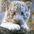 Reading Wonders Literature Big Book: Zoo Borns! Grade K (Elementary Core Reading)