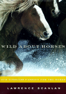 wild about horses