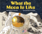 What the Moon is Like (Let's-Read-and-Find-Out Science 2)