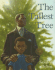 The Tallest Tree