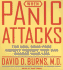 When Panic Attacks Cd: the New, Drug-Free Anxiety Treatments That Can Change Your Life