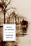 hotel de dream a new york novel