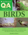 Smithsonian Q & a: Birds: the Ultimate Question and Answer Book
