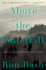 Above the Waterfall: a Novel