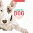 Trianimals: Color Me Dog: 60 Color-By-Number Geometric Artworks with Bark