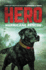 Hurricane Rescue (Hero, 2)