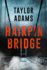 Hairpin Bridge: a Novel