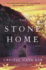The Stone Home: a Novel