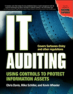 it auditing using controls to protect information assets