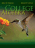 College Algebra