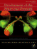 Development of the Nervous System