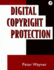 Digital Copyright Protection: Techniques to Ward Off Electronic Copyright Abuse
