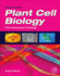 Plant Cell Biology: From Astronomy to Zoology