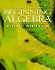 Beginning Algebra (2nd Edition)