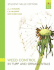 Weed Control in Turf Grass and Ornamentals: Student Value Edition