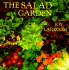 The Salad Garden (the Garden Bookshelf)