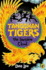 Tangshan Tigers: the Invisible Cloud