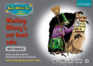 Read Write Inc Phonics Grey Set 7 Storybooks Wailing Winny's Car Boot ...
