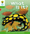 Oxford Reading Tree: Level 2: More Patterned Stories a: What is It?