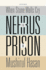 When the Stone Walls Cry: the Nehrus in Prison