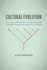 Cultural Evolution: How Darwinian Theory Can Explain Human Culture and Synthesize the Social Sciences
