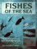Fishes of the Sea: the North Atlantic and Mediterranean
