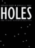 Holes and Other Superficialities Bradford Books