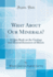 What About Our Minerals? : a Quiz Book on the Geology and Mineral Resources of Illinois (Classic Reprint)