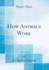 How Animals Work (Classic Reprint)