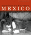 Avant-Garde Art and Artists in Mexico: Anita Brenner's Journals of the Roaring Twenties (William and Bettye Nowlin Series in Art, History, and Culture of the Western Hemisphere) Slp Edition