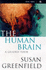 The Human Brain: a Guided Tour (Science Masters)