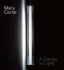 Mary Corse: a Survey in Light