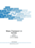 Mass Transport in Solids (B97) (Hb)
