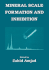 Mineral Scale Formation and Inhibition