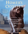 Homer's Odyssey: a Fearless Feline Tale, Or How I Learned About Love and Life With a Blind Wonder Cat