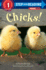 Chicks! (Step Into Reading)