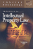 Principles of Intellectual Property Law (Concise Hornbook)