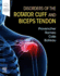 Disorders of the Rotator Cuff and Biceps Tendon-1e