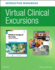 Virtual Clinical Excursions Online and Print Workbook for Medical-Surgical Nursing: Concepts and Practice