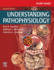 Study Guide for Understanding Pathophysiology 7ed (Pb 2021)