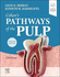Cohen's Pathways of the Pulp-12e