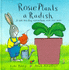 Rosie Plants a Radish: a Lift-the-Flap Natur Book With Real Seeds